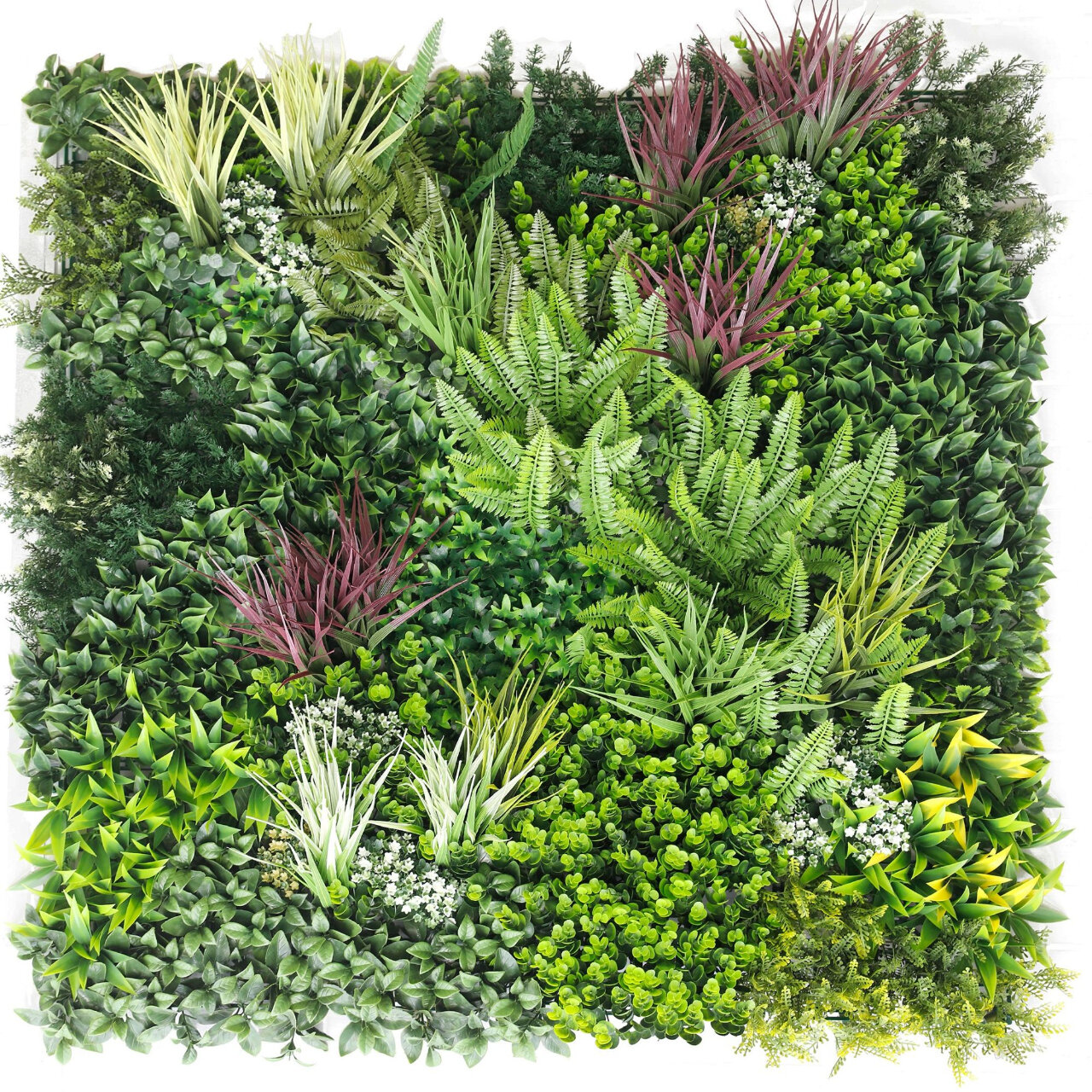 Luxury Urban Green Garden Wall Product Image